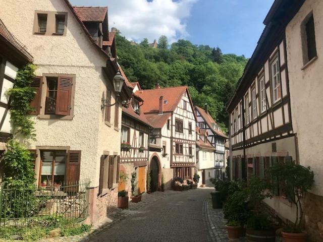 Buedinger Hof Appartement Weinheim Buitenkant foto