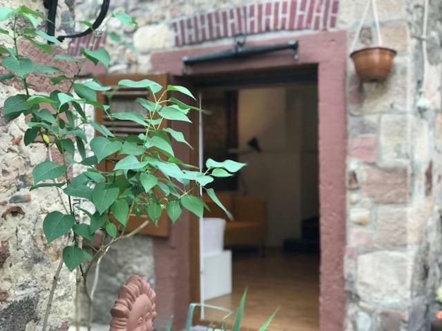 Buedinger Hof Appartement Weinheim Buitenkant foto