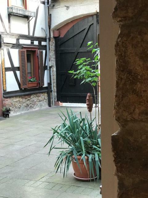 Buedinger Hof Appartement Weinheim Buitenkant foto